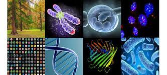 Genetics & Molecular Biology